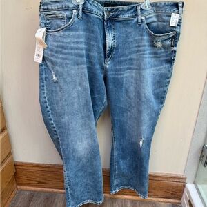 NWT Silver Jeans capri from Maurice’s